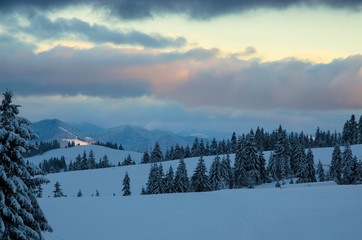 Beautiful winter landscape with snow on the trees