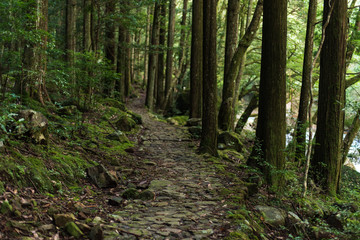 滑床渓谷　遊歩道