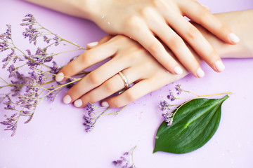 Fototapeta premium pretty perfect woman hands with white manicure and little flowers on colorful lilac background, green leaf spa concept