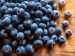 Freshly picked blueberries, close up