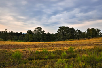Obraz premium moorland landscape in hdr