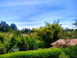 Obraz premium Tranquilidad