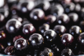 The jabuticaba or jaboticaba is the fruit of the jaboticabeira or jabuticabeira, a Brazilian fruit tree of the mirtaceae family, native to the Atlantic Forest.
