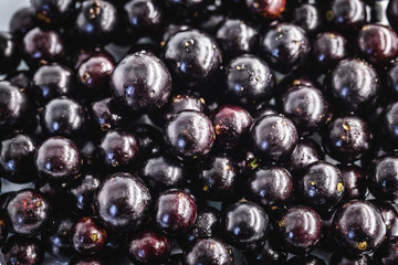 Several Brazilian fruits, called jabuticaba or jaboticaba. Organic fruit and without convergent. Fruits of the month of October.
