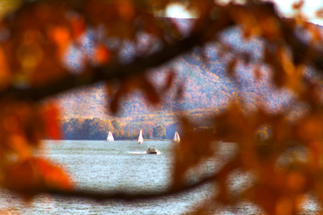 This Little Boat of MIne