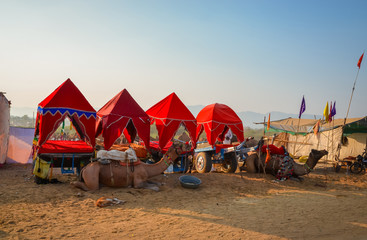 Camel Cart at Pushkar Camel Fair (Pushkar Mela) in Pushkar, Rajasthan, India