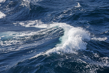 Welle mit Gischtbildung bei stürmischem Wind und grober See  im Atlantik