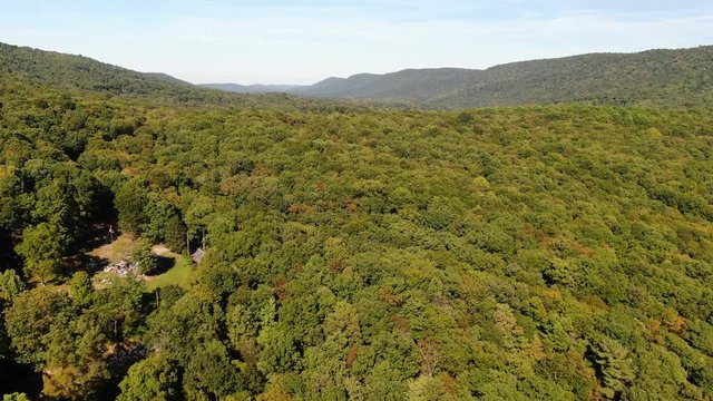 Aerial drone view of endless forest in Pennsylvania during summer