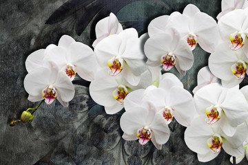3d wallpaper texture, white orchids on abstract canvas textures. Grey background. Murals effect. - obrazy, fototapety, plakaty