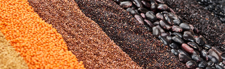 panoramic shot of black beans, rice, quinoa, buckwheat and red lentil