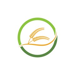 Agriculture wheat Logo