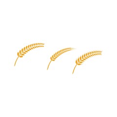 Agriculture wheat Logo