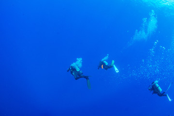 パラオ_ペリリュー_スキューバダイビング