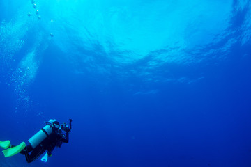 パラオ_ペリリュー_スキューバダイビング