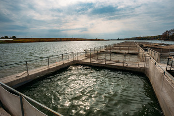 Obraz premium Cages for sturgeon fish farming in natural river or pond.