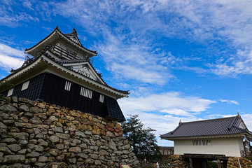 Fototapeta premium 浜松城