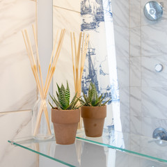 Bathroom shelf plant and aromatherapy 