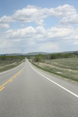 road in the field