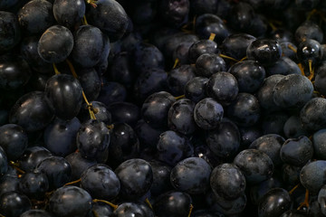 Black grapes in market.