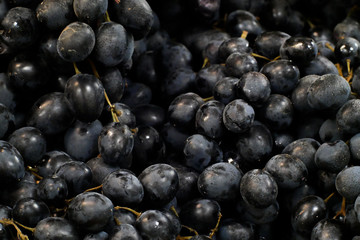 Black grapes in market