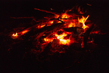 Fototapeta na wymiar Night fire of dead wood at a halt
