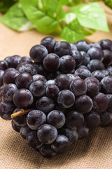 秋の味覚　ブドウ