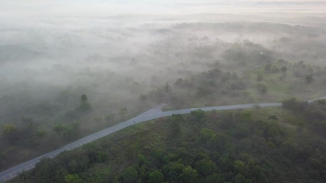 Aerial view car drive on the road at forest near MBI Desaku, Kulim, Kedah, Malaysia.