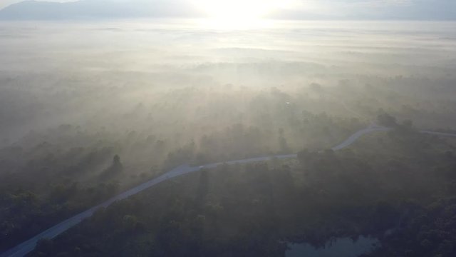 Car drive at road near jungle under early morning fog near MBI Desaku, Kulim, Kedah, Malaysia.