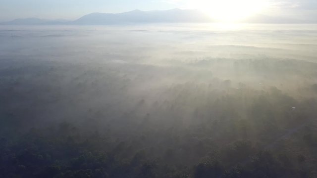 Aerial view sunrise in early morning at forest near MBI Desaku, Kulim, Kedah, Malaysia.