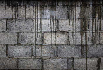 brick / Black and white gray background alternately / With black lines flowing like a river down the wall / The condition is old and worn down / The color of the brick gives an atmosphere of sadness.