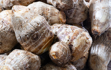 サトイモの背景素材