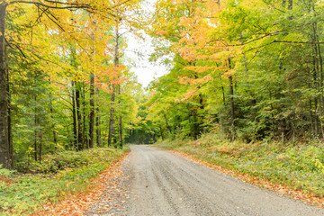 Obraz premium Fall in Ontario rural drive landscape