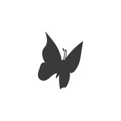 Obraz premium Vector - Butterfly conceptual simple, colorful icon. Logo. Vector