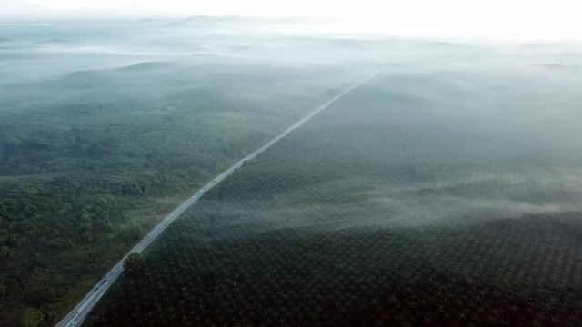 Car drive along the road near oil palm plantation in misty morning near MBI Desaku, Kulim, Kedah, Malaysia.
