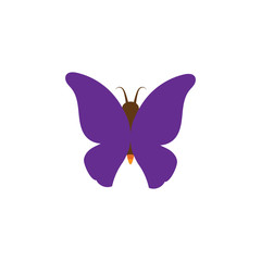 Vector - Butterfly conceptual simple, colorful icon. Logo. Vector