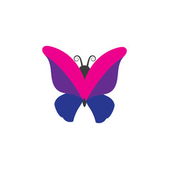 Vector - Butterfly conceptual simple, colorful icon. Logo. Vector