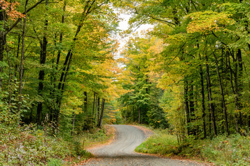 Curve on a gravel off grid road landscape