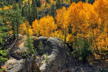 Autumn in the Colorado Rocky Mountains