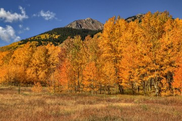 Fototapeta premium Autumn in the Colorado Rocky Mountains
