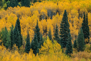 Autumn in the Colorado Rocky Mountains