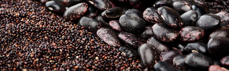 panoramic shot of black quinoa seeds and beans