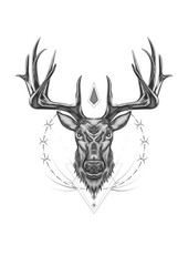 buck head line art. bull elk style drawing. deer head illustration with ornament design
