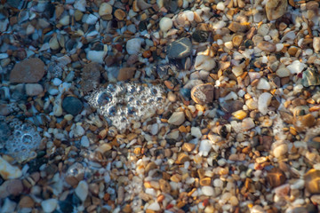 sea pebbles colored granite on the beach