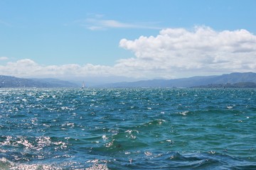 The beautiful seascape with shiny waves under the sunshine at the Wellington Waterfront beach