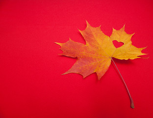 maple leaf on red background. a heart is carved in the middle of the leaf. symbol of love