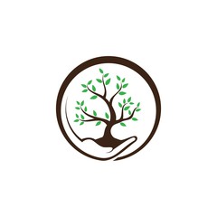 Obraz premium Hand holding plant and grow with green leaf on the white background