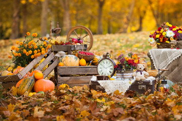 Autumn decor in the garden. Pumpkins lying in wooden box on autumn background.  Old fashioned wooden distaff. Autumn time. Thanksgiving Day.