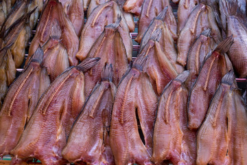Dried Snakehead Fish, focus selective.