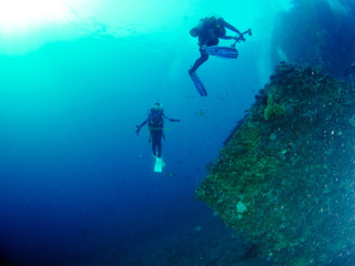 Scuba diver with coral