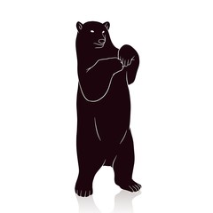 bear silhouette vector isolated on white backround